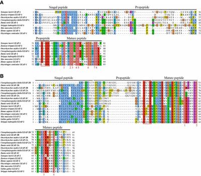 Comparative study on antibacterial characteristics of the multiple liver expressed antimicrobial peptides (LEAPs) in teleost fish